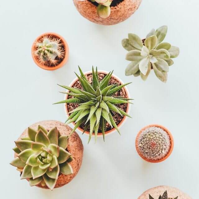 site.teaplusteabar.in